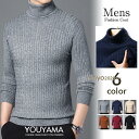 セーター メンズ 冬 ニット 長袖 ニットセーター ケーブル リブ プルオーバー 秋服 カーディガン 暖かい ニットソー インナー