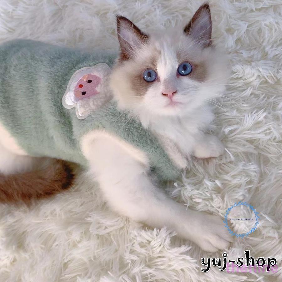猫服 犬服 ネコウェア ドッグウェア 韓国ペッ...の紹介画像3