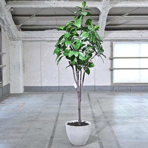 EMILIO ROBBA フェイクグリーン 鉢付き 飾り石 観葉植物 造花 リビング 店舗装飾 インテリア エミリオ..