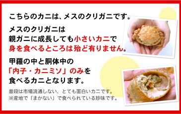 北海道産 子持ち クリ毛ガニ (メスだけ詰め込み)約1kg(約10-20尾前後入り)クリガニ クリ毛蟹 クリ毛がに クリけがに 蟹 カニ かに 送料無料 ギフト