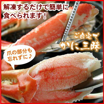 【訳あり】本ズワイガニ脚 ずわい蟹 ズワイガニ ズワイ蟹 足のみ 5kg 蟹 カニ かに 訳あり 送料無料 ボイル