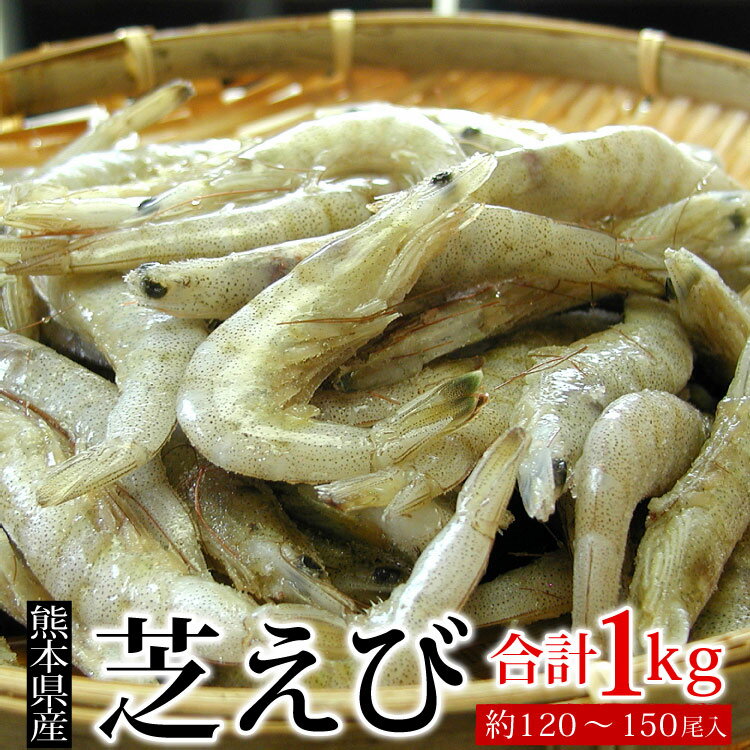 熊本県産 芝えび 合計1kg 約120-150尾前後 国産 芝海老 シバエビ 芝エビ 生冷凍 釣り餌 IQF冷凍 ギフト お歳暮 送料無料 沖縄宛は別途送料を加算 