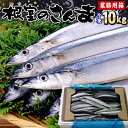1,000円OFFクーポン 【冷凍品】2025年度産 サンマ根室産 秋刀魚業務用 合計10kg(約65-80尾入)生冷凍 業務用商品 北海道産 さんま サンマ 焼き魚 訳あり 送料無料(沖縄宛は別途送料を加算)