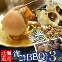 「オマケ付き」北海道産 海鮮バーベキュー セット 合計3kg(殻付ホタテ貝・青つぶ貝)冷凍海鮮BBQセット 貝焼き ツブ 食材 ギフト 浜焼き 殻焼き キャンプ...