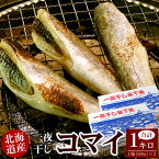 北海道産 一夜干し氷下魚 こまい コマイ カンカイ 合計1kg（500g×2箱） 珍味 乾 おつまみに送料込（沖縄宛は別途送料を加算）