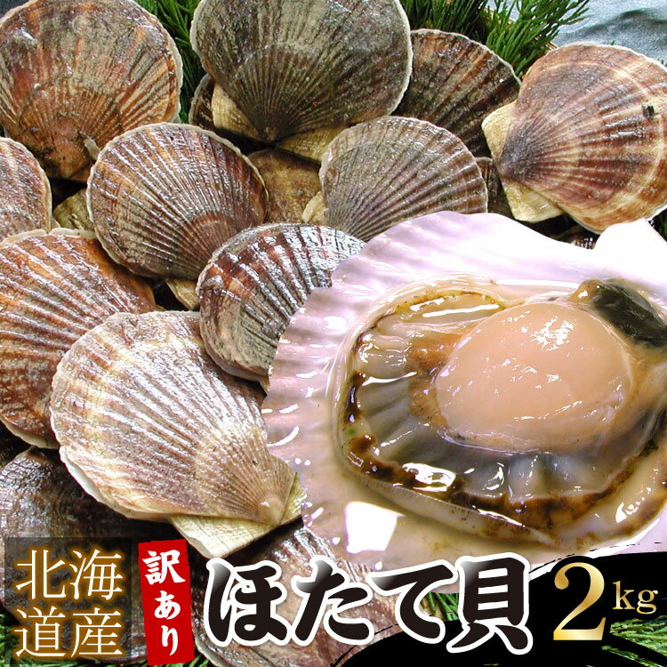 殻付き 北海道産 ホタテ 帆立 ほたて貝 2kg（無選別） 