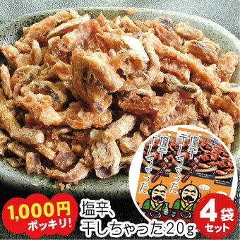 塩辛 干しちゃった 乾燥イカ塩辛珍味 20g×4袋セット【メール便 送料無料】