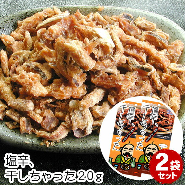 塩辛 干しちゃった 乾燥イカ塩辛珍味 20g 2袋セット【メール便 送料無料】