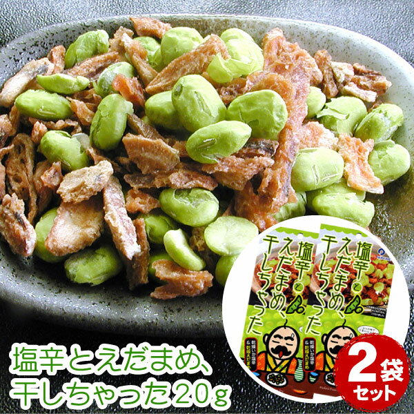 塩辛とえだまめ 干しちゃった 乾燥イカ塩辛珍味 20g×2袋セット【メール便 送料無料】