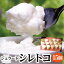 シレトコ ジェラート 15個セット アイスクリーム アイス 詰め合わせ 北海道 送料無料 ギフト お歳暮 お中元 父の日 敬老の日にもお勧めです シレトコジェラート 送料無料(沖縄宛は別途送料を加算) 5,550円