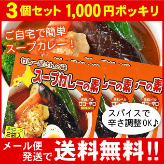 カレー屋さんの味 スープカレーの素 濃縮スープ2袋入×3個セット MIXスパイス付【メール便 送料無料】