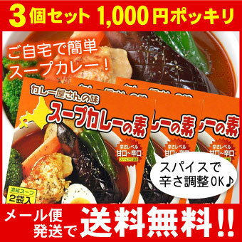 【メール便 送料無料】カレー屋さんの味 スープカレーの素 濃縮スープ2袋入×3個セット MIXスパイス付