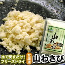 北海蝦夷 山わさび 18g フリーズドライ・粉末タイプ TKSタングロン【メール便 送料無料】