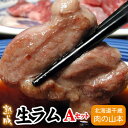 ラム肉 生ラムAセット 焼肉 ジンギスカン 600g 千歳ラム工房 北海道 肉の山本