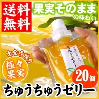 【産地直送！】　愛媛のみかん・柑橘類 極々果汁♪ジュース・シャーベット・ゼリー