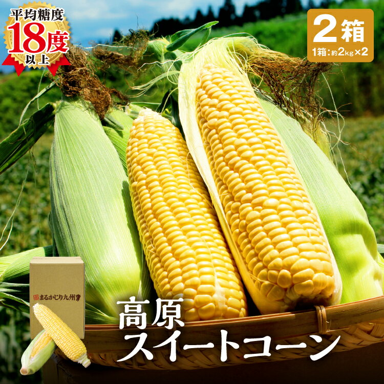 【 楽天ランキング1位 】とうもろこし 大分 スイートコーン 2箱セット 1箱あたり約2kg(約350g×6本)朝採れ 九州 大分 国産 平均糖度18度以上 生とうもろこし お取り寄せ ご当地 秀品 恵味 卯野農場 産地直送 お中元 暑中見舞い まるかじり九州
