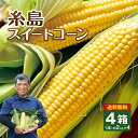 ＼楽天リアルタイムランキング　とうもろこし部門1位 獲得しました！（2022/5/28時点）／ 福岡県糸島市生まれのプレミアムなスイートコーン！ 『糸島スイートコーン』でお届けする品種は、生でも食べられる深い旨味と強い甘みが人気の「恵味（めぐみ）」です。 瑞々しい実がびっしりと詰まっているので食べ応え抜群！とっても甘くて大きいので、夏のおやつとして子どもたちにも大人気なんです。プチプチ弾けるジューシーな食感をお楽しみください。 その魅力、世界第3位！注目エリア「糸島」 福岡県糸島市は、日本屈指の漁場として知られる玄界灘に突き出した糸島半島と、福岡県西端部を含む自然豊かなエリア。人気観光スポットであるばかりでなく、住みやすさにも定評があり、イギリスの情報誌「MONOCLE（モノクル）」が実施した『世界で最も魅力的な小都市』2021年ランキングで、なんと世界3位にランクイン！ そんな大注目の糸島では、豊かな自然環境を利用して農業や畜産、漁業が古くから行われてきました。糸島産の野菜や肉などは「糸島ブランド」と呼ばれ、その美味しさや品質の高さは有名シェフがこぞって料理に使うほどの品質です。 糸島の恵みをたっぷり受けた人気のスイートコーン 今回お届けする「糸島スイートコーン」を栽培しているのは、糸島で代々農業を営んできた「うらた農園」で収穫されたものです。 「堆肥は、糸島の畜産農家から分けてもらった原料に『糸島米』のもみ殻をブレンドしとります。土づくりに欠かせない石灰も、糸島の牡蠣小屋で出た牡蠣殻を焼いてから、砕いたもんを使っとるんですよ」と説明してくれたのは、「うらた農園」代表取締役の浦田康明さん。 朝収穫したコーンをその日のうちに出荷するので、新鮮で甘さたっぷりのコーンが届きます！ トウモロコシには、健康に嬉しい栄養分がいろいろ！ 美味しい上に、栄養豊富なのがトウモロコシの魅力！ 体を動かすエネルギーとして欠かせない「炭水化物」をはじめ、腸の動きを活発にして健康な状態へと導く「食物繊維」、腸内に善玉菌を増やして悪玉コレステロールを減らす「リノール酸」や「オレイン酸」などが含まれています。 また、ビタミン群が含まれているのもポイント！夏の暑さで疲れがちな体を回復させるのに役立つビタミンB1やビタミンB2、さらに”若返りのビタミン”とも言われるビタミンEも豊富です。 夏バテ防止にもパワーを発揮するトウモロコシ！その底力はすごいですね。 スイートコーンの美味しい食べ方 『糸島スイートコーン』でお届けする品種は、生でも食べられる深い旨味と強い甘みが人気の「恵味（めぐみ）」などです。 収穫後5日（到着後1〜2日）程度は、洗ってそのまま丸かじりできます。瑞々しい粒がぎっしり詰まったコーンは、ずっしりとした重量感です！ ゆでる場合は、沸騰したお湯に3分程度サッとつけて半生状態で食べるのがオススメ。ゆで時間を短くすることでコーンならではのプチプチ食感を損なわず、ジューシーな状態をキープできます。 焼く場合は、何も調味料をつけなくて大丈夫です。コーンだけで、十分な甘さを感じられます。トウモロコシ本来の濃厚な甘みに、きっと感動しますよ！ ※収穫期の7月上旬頃からご予約順に発送いたします。 名称 糸島 スイートコーン 品種 恵味 産地 福岡県糸島市 内容量 4箱セット1箱あたり約2kg（約350g × 6本） ※5箱以上ご購入の場合は、2個口での発送となります。 保存方法 冷蔵庫に入れて保存をお願いします。 コーンは収穫後も呼吸をしていて、糖分をエネルギーとして消費します。そのため、収穫から日数が経つほど甘さが失われます。茹でることで甘さの低下を緩やかにできますので、保存する場合は茹でることをオススメします。茹でたものを冷蔵保存した場合は、1週間程度で食べきってください。 冷凍保存する場合は、芯から粒を外して冷凍するとコーンならではのシャキシャキと食感が持続します。冷凍保存した場合は1ヶ月程度を目安にお召し上がりください。 お召し上がり方 収穫後5日（到着後1～2日）程度は、生のまま食べられます。 それ以降は、茹でる・焼くなど調理してお召し上がりください。 ※生鮮品ですので、できる限り早めにお召し上がり下さい。 配送方法 ヤマトのクール便でお届けします。 ※送料1200円、4箱以上のご注文で送料無料（一ヶ所お届けにつき） ※北海道・東北・沖縄県は、別途、配送手数料500円が必要です。 出荷時期 ※収穫期の7月上旬頃からご予約順に発送いたします。 ご贈答について 送り主様を「ご注文者様」、送り先様を「ご贈答先様」にて送り状に明記しお届けします。 食べ方チラシを同梱いたしますが、明細書や他フルーツの案内チラシなどは入りません。 後払いをご指定の場合、ご贈答先様に商品が届き次第、振込用紙をご依頼主様にお送りいたします。 ※お熨斗をかけることは出来かねますので、予めご了承ください ※契約農家さんより産地直送でお届けの為、ラッピング対応は致しかねます。 まるかじり九州 糸島スイートコーン とうもろこし スイートコーン トウモロコシ コーン 恵味 朝採れ 朝もぎ 甘い 九州 福岡 糸島 うらた農園 お中元 ご当地 産地直送 お取り寄せ お取り寄せグルメ プレゼント ギフト ご贈答 贈答 贈り物 楽天お買い物マラソン 楽天スーパーSALE ランキング 39ショップ