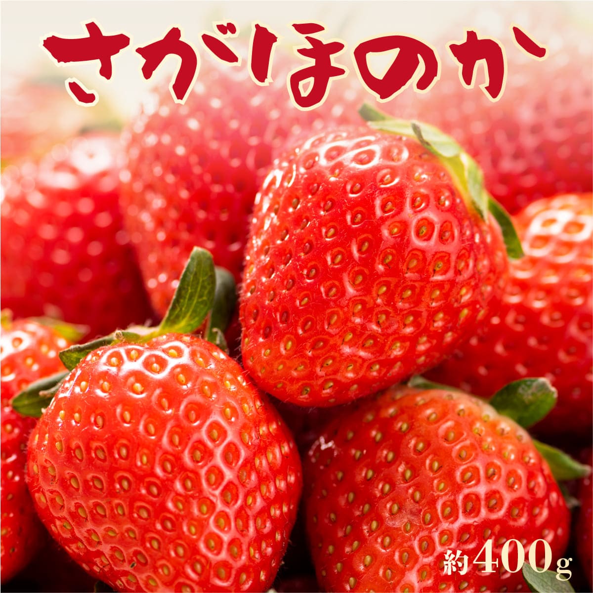 いちご さがほのか 宮崎産 苺 イチゴ 1箱 約400g (15粒 or 18粒) 【3箱以上 送料無料】産地直送 佐賀ほのか ブランドいちご 苺 いちご イチゴ ギフト 贈答 プレゼント お取り寄せ