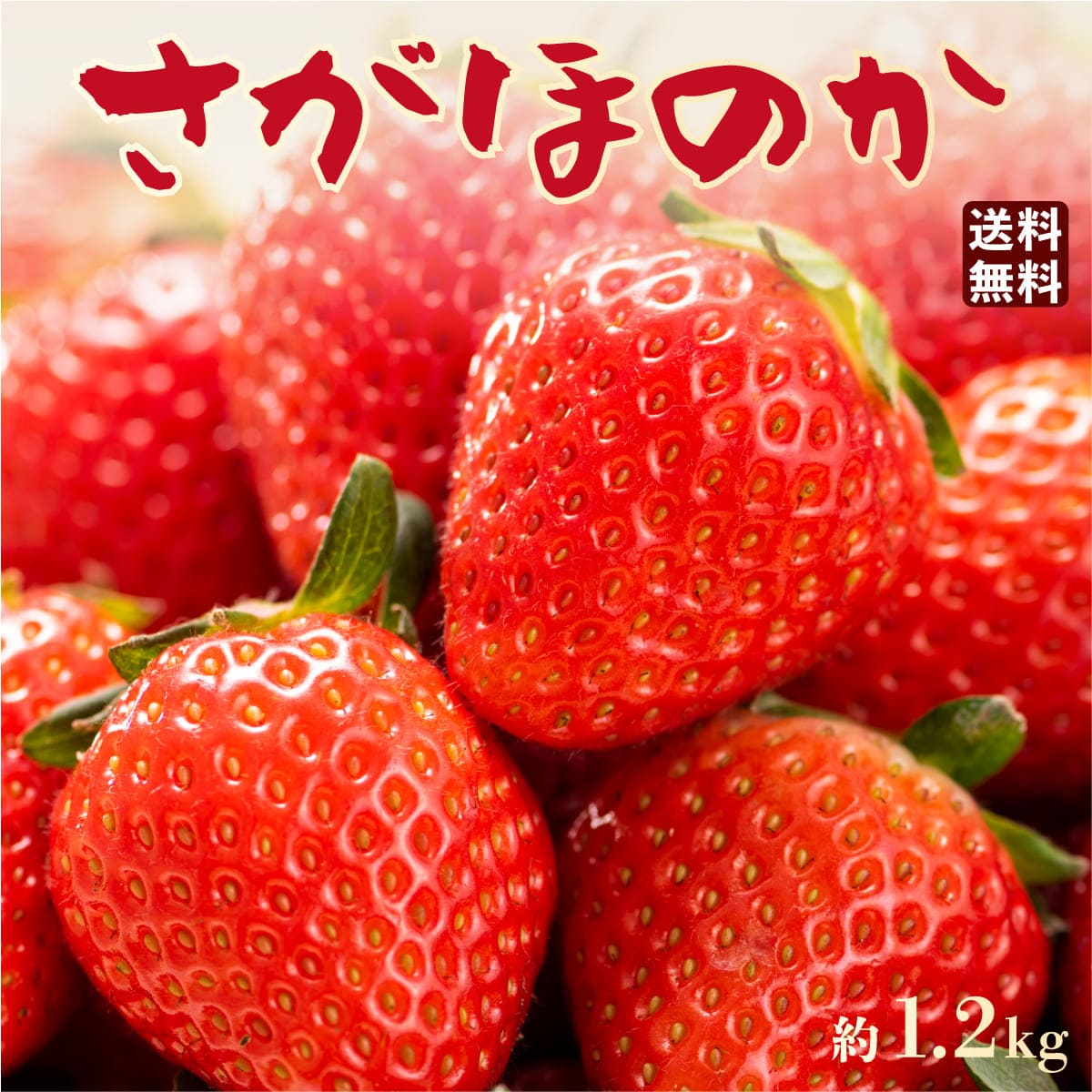 いちご さがほのか 宮崎産 イチゴ 3箱 約1.2kg (1箱 約400g 15粒 or 18粒) 【送料無料】産地直送 イチゴ 佐賀ほのか ブランドいちご 苺 いちご イチゴ ギフト 贈答 プレゼント お取り寄せのサムネイル