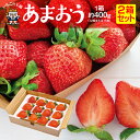 いちご 【楽天ランキング入賞】 いちご あまおう 福岡産 苺 予約 あまおう 2箱 約800g ＜3箱以上で 送料無料＞ グランデ あまおう イチゴ 人気 大粒 ギフト 贈答 プレゼント 産地直送 農家直送 福岡