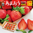 いちご 【楽天ランキング入賞】［送料無料］ いちご あまおう 福岡産 苺 あまおう 3箱 約1.2kg グランデ あまおう イチゴ 人気 大粒 ギフト 贈答 プレゼント 産地直送 農家直送 福岡