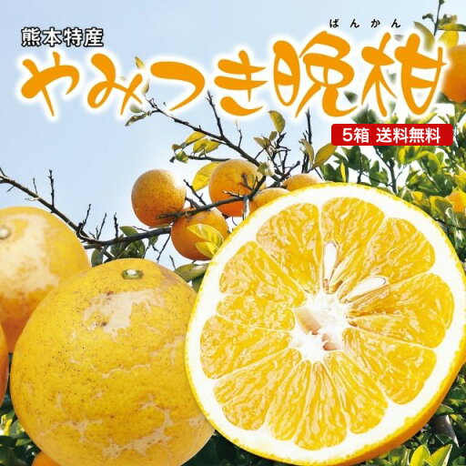 【 送料無料 】熊本 やみつき晩柑 河地晩柑 晩柑 5箱セット 1箱あたり約2kg(5〜8玉) 国産 熊本県産 九州 産地直送 農家直送 さっぱりした甘み ジューシー オレンジ 柑橘 フルーツ 果物 ご当地 お取り寄せ お取り寄せフルーツ 39ショップ まるかじり九州 【 送料無料 】熊本 やみつき晩柑 河地晩柑 晩柑 5箱セット 1箱あたり約2kg(5〜8玉) 国産 熊本県産 九州 産地直送 農家直送 さっぱりした甘み ジューシー オレンジ 柑橘 フルーツ 果物 ご当地 お取り寄せ お取り寄せフルーツ 39ショップ まるかじり九州