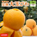 商品画像3
