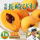 送料無料 【 楽天ランキング1位 】 長崎 びわ 1箱 500g(12玉) 秀品 茂木 枇杷 ビワ 完熟 国産 特産 九州 樹上 完熟 長崎県産 産地 農家 直...