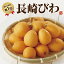 送料無料 長崎県より産地直送 完熟長崎びわ 1箱 500g (Lサイズ 12玉入) 長崎から産地直送 送料無料