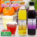 【 送料無料 】 飲むお酢 2箱 (柿酢 巨峰酢 各2本) 果実酢 フルーツビネガー お酢 酢 九州 産地直送 ご当地 お取り寄せ 健康 ギフト 手土産 贈答 ...