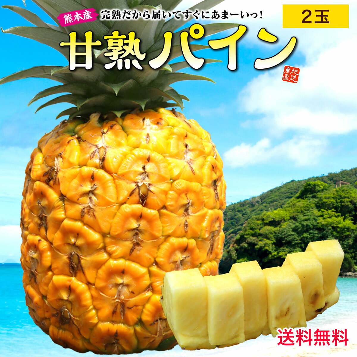 【楽天ランキング1位獲得】 【送料無料】熊本県産 パイナップル 甘熟 パイン 2玉 セット 1玉あたり約1kg ぱいん 完熟 甘い 国産 希少 産地直送 産直 九州 熊本 戸馳島 お取り寄せ ご当地 ご当地グルメ 贈答 ギフト フルーツギフト プレゼント 39ショップ まるかじり九州のサムネイル