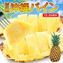 【 送料無料 】 パイン パイナップル 沖縄 甘熟 パイン 3玉セット 1玉あたり約800g〜1kg 南国フルーツ サンドルチェ 完熟 甘い 国産 希少 産地直...