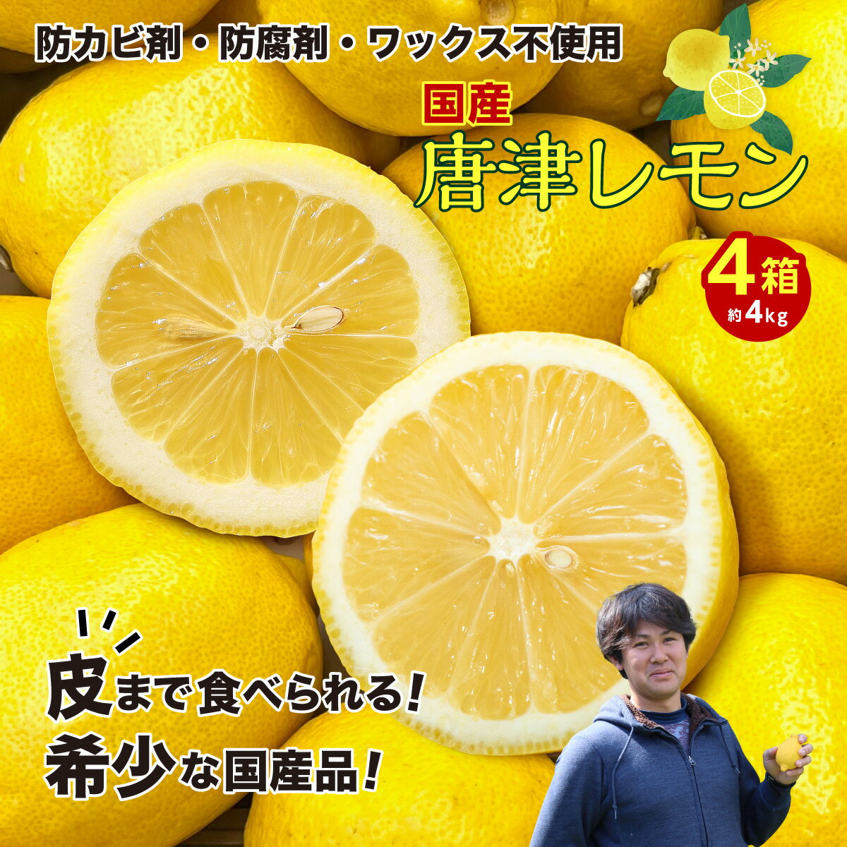 【 国産レモン 4キロ】 【楽天ランキング1位取得】【P5倍】レモン イエロー 佐賀県産 唐津レモン 4箱 約4kg 減農薬 れもん 檸檬 lemon ノーワックス 防腐剤不使用 唐津 柑橘 レモネード レモンサワー レモンケーキ レモンタルト レモンスカッシュ 39ショップ