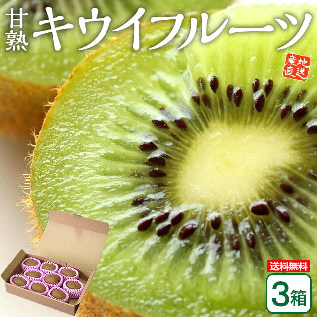  ̵   ե롼  ʡ Ȭ Ž ե롼 3Ȣå 1Ȣ1kg(9) ¿ Ž̼(ä) إ...