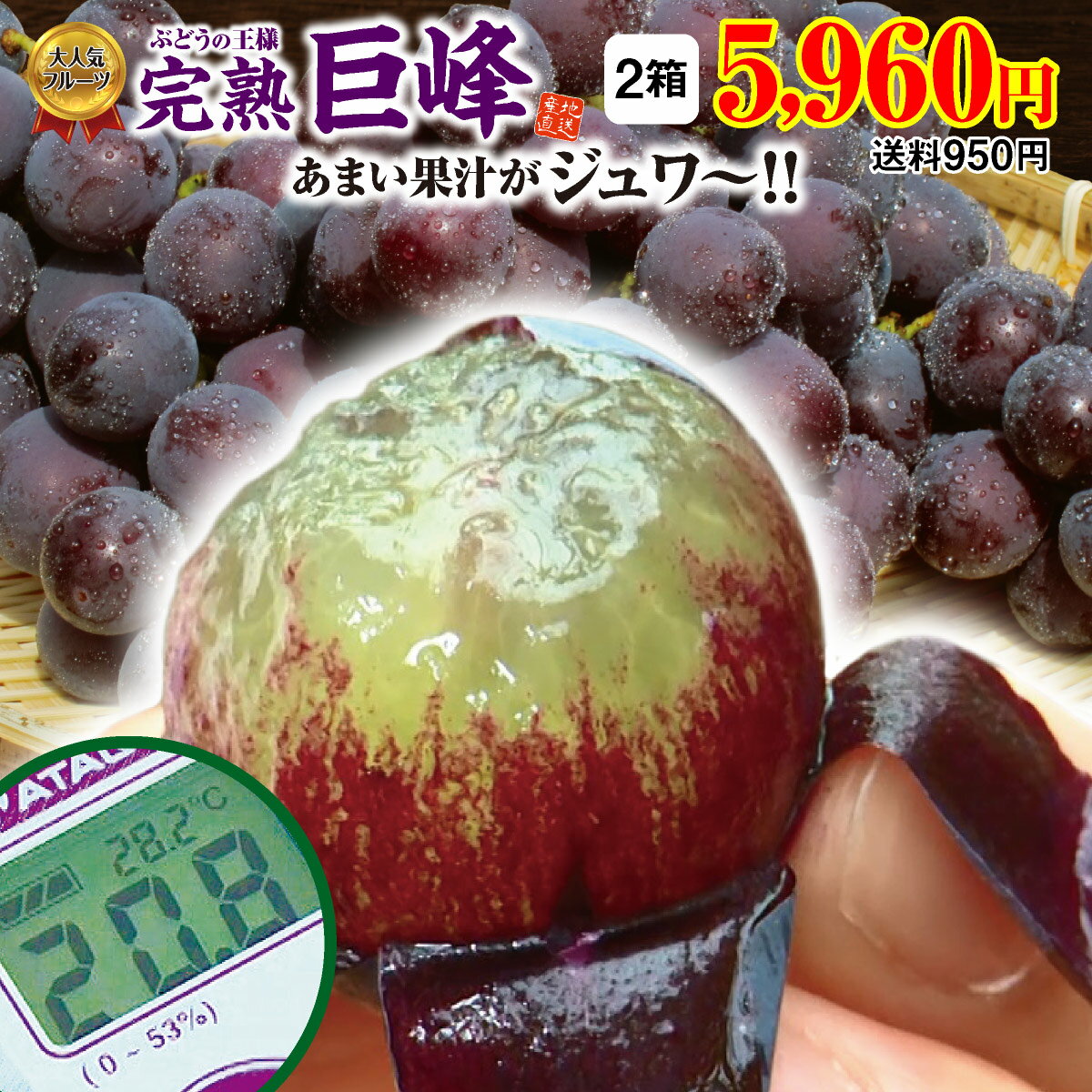 【楽天ランキング1位】 ぶどう 巨峰 福岡 完熟巨峰 2箱 3.0kg(3〜5房×2箱) 【送料無料】福岡から産地直送！ 農家直送 福岡県産 朝採り 旬 ブドウ 葡萄 巨峰 ぶどう 種あり 露地栽培 果物 フルーツ ギフト プレゼント 贈答 田主丸 39ショップ