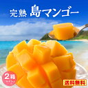 【 送料無料 】マンゴー 鹿児島県産 2箱セット 1箱あたり約1kg(2玉〜3玉) 完熟 島マンゴー アーウィン 九州 鹿児島 奄美大島 奄美 国産 お取り寄せ...