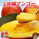 【 送料無料 】マンゴー 沖縄県産 1箱 約1kg(2玉~3玉) 完熟 沖縄マンゴー アーウィン 九州 国産 お取り寄せ ご当地 産地直送 ご自宅用 ギフト 贈答 プレゼント 内祝い 果物 南国フルーツ ご予約 まるかじり九州