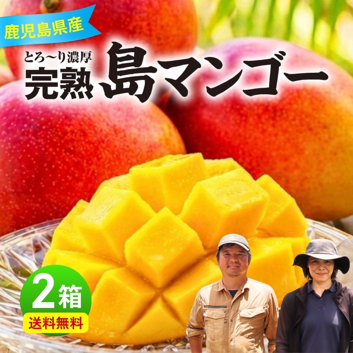 楽天市場】鹿児島（マンゴー｜フルーツ・果物）：食品の通販