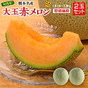 【送料無料】大玉赤メロン 2玉セット 1玉(1.5～1.8kg) メロン 赤肉メロン 赤メロン 完熟メロン 熊本メロン 九州 熊本 八代 マリアージュ レノン クインシー お取り寄せ ご当地 産地直送 ギフト プレゼント 贈答 贈り物 誕生日 大玉 産直 フルーツ まるかじり九州 39ショップ