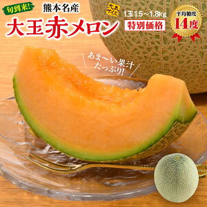 【送料無料】大玉赤メロン 1玉(1.5～1.8kg) メロン 赤肉メロン 赤メロン 完熟メロン 熊本メロン 九州 熊本 八代 マリアージュ レノン クインシー お取り寄せ ご当地 産地直送 ギフト プレゼント 贈答 贈り物 誕生日 大玉 産直 フルーツ まるかじり九州 39ショップ