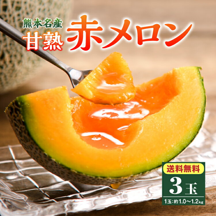 【 送料無料 】熊本 赤肉 メロン マリアージュ 3玉セット 1玉あたり約1.0～1.2kg 完熟 甘熟 国産 熊本県産 九州 完熟 melon めろん 農家直送 産地直送 贈答 ギフト プレゼント 39ショップ まるかじり九州のサムネイル