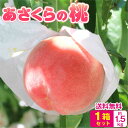 送料無料 【 楽天ランキング1位 】 福岡県産 桃 もも 白桃 あさくらの桃 1箱 約1.5kg(5~7玉) モモ あかつき なつおとめ 九州 お取り寄せ お取り寄せグルメ ご当地 産地直送 ご自宅用 ご家庭用 果物 フルーツ 人気 ご予約 クール便 冷蔵便 お盆 お供え まるかじり九州