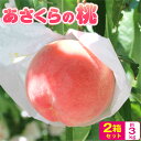 送料無料【 楽天ランキング1位 】福岡県産 桃 もも 白桃 あさくらの桃 2箱セット 1箱あたり約1.5kg(5〜7玉) モモ あかつき なつおとめ 九州 お取...