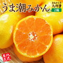 【 送料無料 】 熊本 佐賀 温州みかん うま潮みかん 2箱セット 1箱あたり約2.5kg (2S~Lサイズ混合) みかん 産地直送 産直 九州 有明海 早生 中手 晩生 露地栽培 蜜柑 お取り寄せ ご当地 ご当地グルメ お歳暮 御歳暮 冬ギフト 贈り物 贈答 39ショップ まるかじり九州(4)