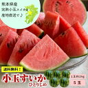 口いっぱいに広がる甘く爽やかな香り、シャリッとした食感がたまらない！ 深緑色にくっきりと入った黒い縞模様と、鮮やかな赤い果肉のコントラストが美しい小玉すいか「ひとりじめ」。 コロンと可愛く手頃なサイズながらも、大玉すいかに負けないシャリッとした食感と高い糖度が特徴です。 果皮が薄く、果肉の際まで甘くて食べ応えたっぷり！ひとりじめして食べたくなる旬の味覚・小玉すいかをお楽しみください。 すいかの名産地・熊本のすいかは他と違う！ 熊本県は、すいかの生産量全国1位を誇る「すいかの名産地」。品質の良いすいかを育てるのに適した自然環境と、経験豊富なベテラン農家の技術と知識が合わさることで、他にはない美味しさのすいかを全国に届けています。 食べ頃になった小玉すいか「ひとりじめ」を、農家から直送で食べ頃にお届けします！ 小玉だから野菜室にスッポリ！冷やしやすいのも魅力です♪ すいかといえば「大きいから冷蔵庫に保存するのが大変」「食べきれるかな？」と心配になる方がいらっしゃるかもしれません。でも、小玉すいかなら大丈夫！冷蔵庫の野菜室でも保存できるサイズなので、人数が少ない家庭でも食べきれますよ。 「大玉すいかよりも味が薄いんじゃ？」なんて思っているアナタ！小玉すいかが誕生するまでには、さまざまな改良や栽培の工夫が重ねられてきたため、大玉すいかに負けないうま味が詰まっているのです！ 小玉だから、ちょっとした手土産にもピッタリ！先方にも負担にならない大きさが嬉しい旬の味覚です！初夏のお土産に是非ご利用くださいませ。 2024年5月下旬頃から、ご予約順に順次発送いたします。 名称 熊本特産　小玉すいか　ひとりじめ 品種 ひとりじめ 産地 熊本県 内容量 5玉セット 約2kg×5玉 ※2玉購入の場合は、2玉用の箱にお入れしてお届け致します。 ※5玉以上ご購入の場合は、2個口での発送となります。 保存方法 高温多湿の場所を避けて常温で保存。 食べる2〜3時間前に冷蔵庫で冷やすとより美味しくお召し上がりいただけます。 賞味期限 カットしていない場合の目安は到着後5日以内。 ※生鮮食品ですので、 お早めにお召し上がりください。 お召し上がり方 基本的には追熟しないため、時間がたつと徐々に甘みが落ちていきます。 できる限り早めにお召し上がり下さい。 お届け方法 ヤマト運輸でお届けします。 ※運送会社の指定は出来かねます。 ※送料無料 ※「熊本県産 小玉すいか」は39ショップ対象商品です。 ご贈答について 送り主様を「ご注文者様」、送り先様を「ご贈答先様」にて送り状に明記しお届けします。 食べ方チラシを同梱いたしますが、明細書や他フルーツの案内チラシなどは入りません。 後払いをご指定の場合、ご贈答先様に商品が届き次第、振込用紙をご依頼主様にお送りいたします。 ※お熨斗をかけることは出来かねますので、予めご了承ください ※契約農家さんより産地直送でお届けの為、ラッピング対応は致しかねます。 発送について 2024年5月下旬頃から、ご予約順に順次発送いたします。 ※まるかじり九州では、旬の時期にお届けする特産品の販売を行っているため、商品によって発送時期が異なります。ご購入前に発送時期をご確認ください。 産地直送のため、ご注文後のキャンセル・内容変更はお断りしております。予め、ご了承ください。 ※天候の影響等で発送日が前後する場合がございます。 その年の気象条件や生育状況により、特産品の収穫時期や発送時期がずれる場合がございます。発送予定日が大幅に遅れる場合はメールにてご連絡を差し上げますので、ご確認ください。 まるかじり九州 送料無料 スイカ すいか 西瓜 小玉スイカ 小玉すいか ひとりじめ 熊本スイカ フルーツ 果物 熊本 九州 産地直送 お中元 お供え ご当地 産地直送 お取り寄せ お取り寄せグルメ プレゼント ギフト ご贈答 贈答 贈り物 楽天お買い物マラソン 楽天スーパーSALE ランキング 39ショップ