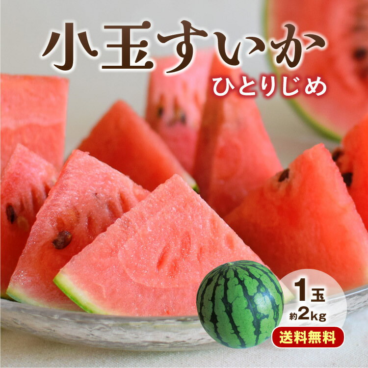 【送料無料】【楽天ランキング1位獲得】 小玉すいか ひとりじめ 熊本 1玉 約2kg すいか スイカ 西瓜 熊本県産 九州 産地直送 農家直送 果物 フルーツ ギフト プレゼント 贈答 お中元 お供え まるかじり九州 39ショップ