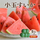 【送料無料】【楽天ランキング1位獲得】 小玉すいか ひとりじめ 熊本 5玉セット 1玉あたり約2kg すいか スイカ 西瓜 熊本県産 九州 産地直送 農家直送 果物 フルーツ ギフト プレゼント 贈答 お中元 お供え まるかじり九州 39ショップ