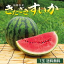 【 送料無料 】 スイカ 福岡 北崎 きたざきすいか 1玉 (約6〜7kg) Lサイズ 九州 国産 すいか 西瓜 甘い ジューシー 産地直送 果物 フルーツ ギ...