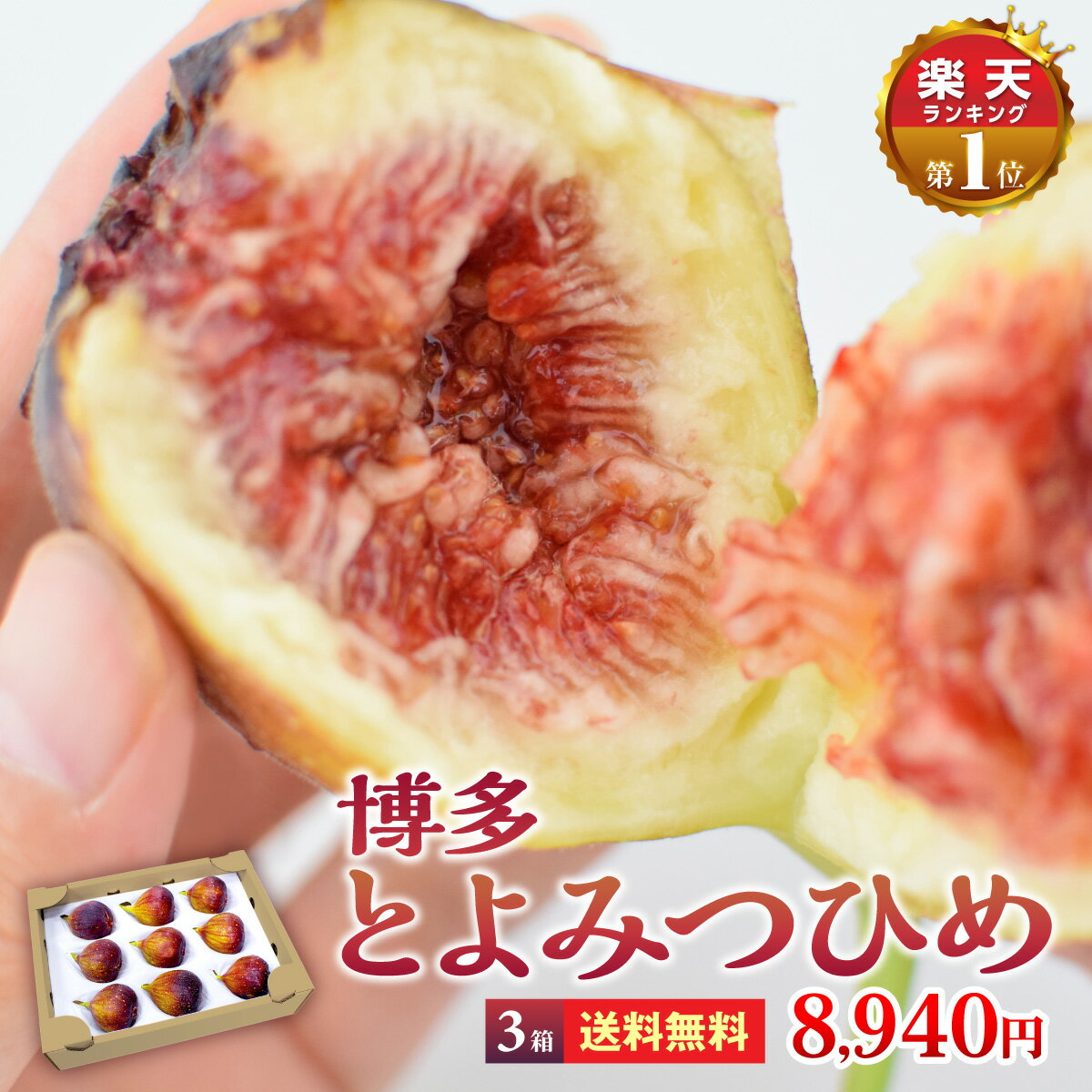 【送料無料】【楽天ランキング1位入賞】 いちじく とよみつひめ 博多とよみつひめ 3箱 約900g×3箱 福岡から産地直送！ 博多 完熟 朝採れ 生いちじく 無花果 いちぢく 福岡産 青果 産地直送 産直フルーツ 人気 おすすめ いちじく 福岡とよみつひめのサムネイル