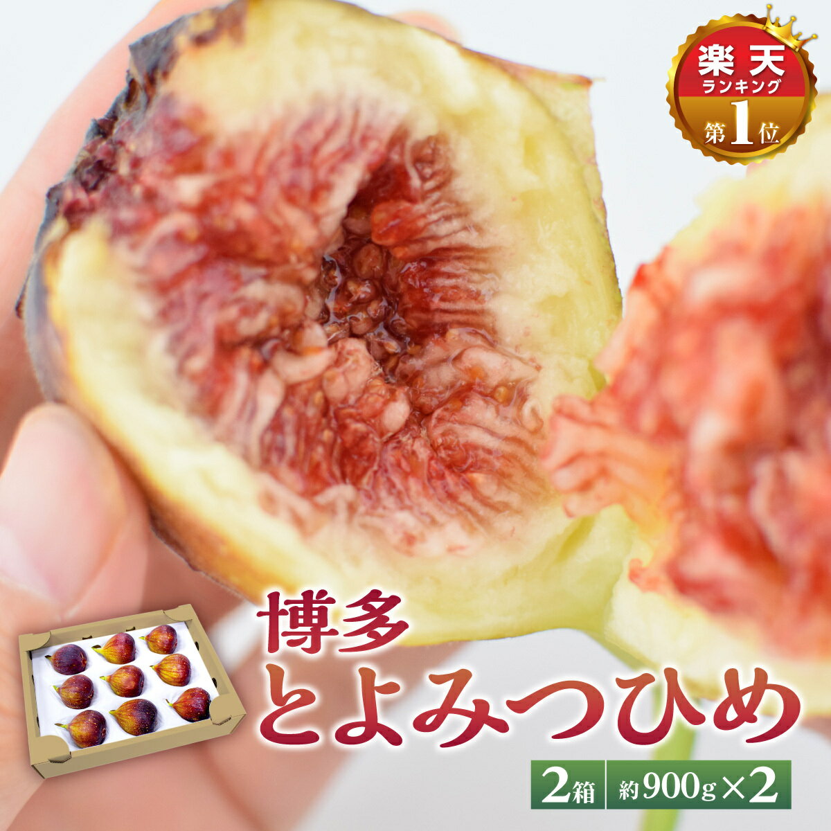 【楽天ランキング1位入賞】いちじく とよみつひめ 博多とよみつひめ 2箱 約900g×2箱【3箱以上で送料無料】 福岡から産地直送！ 博多 完熟 朝採れ 生いちじく 無花果 いちぢく 福岡産 青果 産地直送 産直フルーツ 人気 おすすめ いちじく 福岡とよみつひめのサムネイル